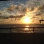 自然の癒し☆リサイクル袋発送の画像