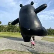 ちむり