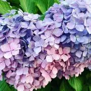 れな【おまとめ購入は直接ご連絡下さい◎】の画像