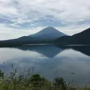 ポッキーの画像