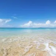 ⭐︎KOKO⭐︎⭐︎【即購入OK】