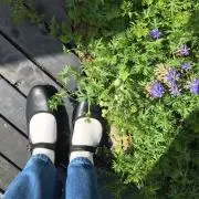 cocoの画像