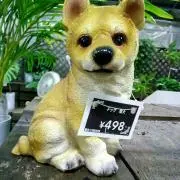 Taka1818の画像