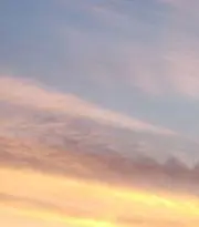 てんの画像