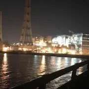 かまぼこ