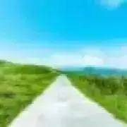 ちはやの画像