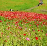 021プロフ必読(^^)