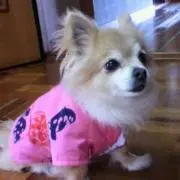キラキラ☆