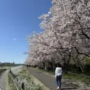 airiの画像
