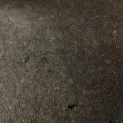 yyy