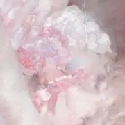iraの画像