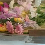 ⭐Refuco⭐の画像
