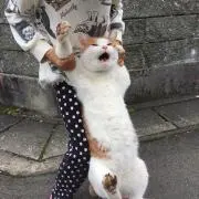 ポンパドール