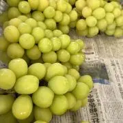 やまもとの画像