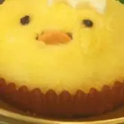 cocoの画像