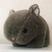 Womwom♡の画像