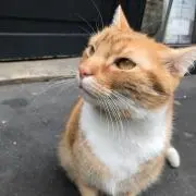 667djpの画像