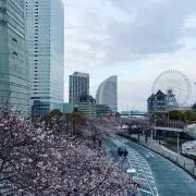Bing Baiの画像
