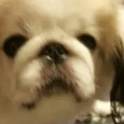 nana777777dayo