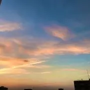F ❗️処分のため値引き中❗️の画像
