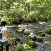 おしょの画像