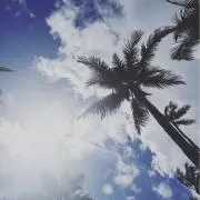 SU⭐︎の画像