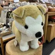wranglerの画像