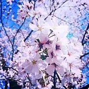 ✱プロフィール必読✱