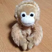 ともぞー