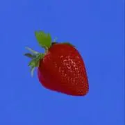 ほにゃにゃ