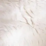 M.M