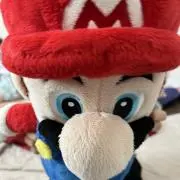 リアン　プロフ必読お願いいたします。の画像