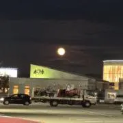 大仁田ネギ【プロフ要確認】の画像
