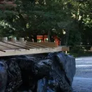 しゅうまい