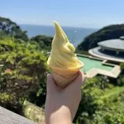 プロフ必読mmちゃんの画像