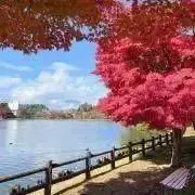 kanakanaの画像