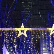 トラオの画像