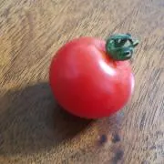 トマトの画像