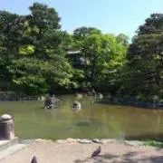 wkの画像