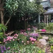 よしの画像