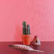 naneaの画像