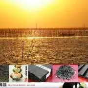 はっとり海苔の画像