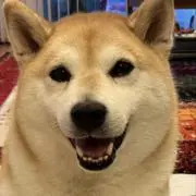 うーちゃんの画像