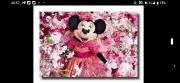 ディズニーたくさん