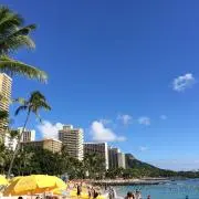 ニャン太郎