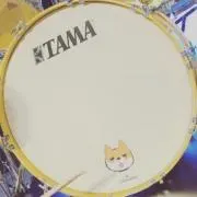 sp