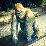 はにわ