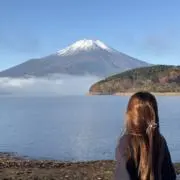 アビーの画像