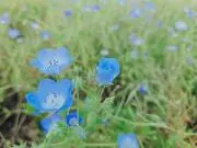 fumin7の画像