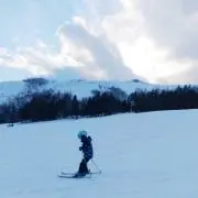 コタママの画像